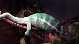 20140616_150135.jpg