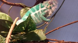 20140616_150443.jpg