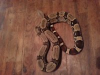 20131017_192528.jpg