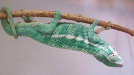 20140616_152526.jpg