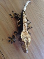 photo 2-10.jpg