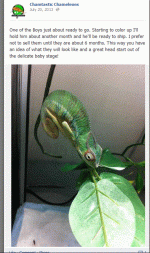 1.GIF