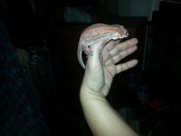 20140212_183646.jpg