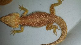 20140328_120856.jpg