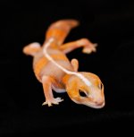 DSC_0285.jpg