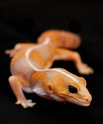 DSC_0297.jpg
