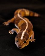 DSC_0255.jpg