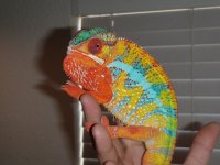 IMG_1073.jpg