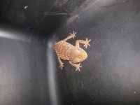 20140630_181020.jpg