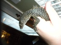DSCN4218.jpg