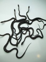 Charcoals.jpg