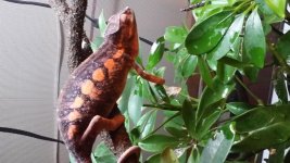 20140423_060846.jpg