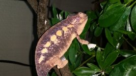20140423_060835.jpg