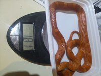 CAM00506.jpg