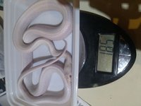 CAM00511.jpg