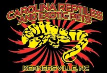 521987_448369708518041_1536226291_n.jpg