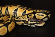 IMG_7490.jpg