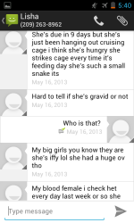 Screenshot_2005-01-03-17-40-45.png