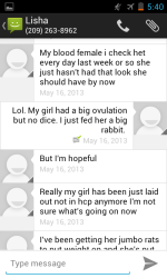 Screenshot_2005-01-03-17-40-51.png