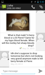 Screenshot_2005-01-03-17-43-34.png