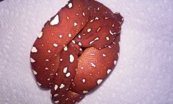 20140909_105425.jpg