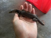 20140627_095333.jpg