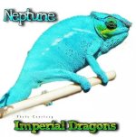uploadfromtaptalk1405057946800.jpg