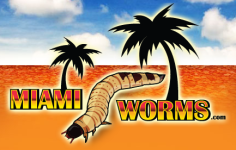 miamiworms logo.PNG