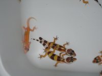 DSC03819.jpg