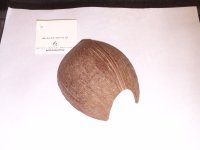 FILE0040.jpg
