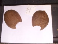 FILE0047.jpg