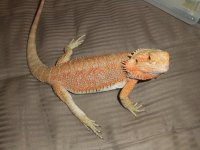 DSCF5219.jpg
