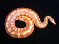 2010-06-01 19.26.03.jpg