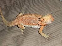 DSCF5221.jpg