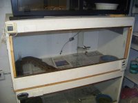 cage1.jpg