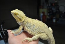 DSC_0686.jpg
