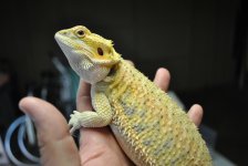 DSC_0661.jpg