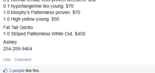 facebook.com 2014-6-1 0 29 45.png