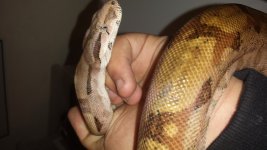 20140428_235830.jpg