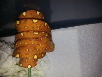 1411522160665.jpg