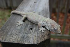 DSC_0587.jpg