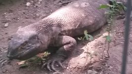 20140810_150306.jpg
