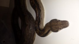 20140428_235924.jpg