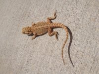 IMG_3170.jpg