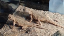 20140610_140213.jpg