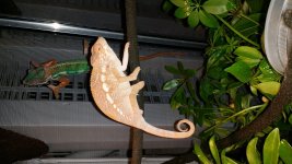 20140312_161842.jpg