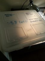 unnamed (3).jpg
