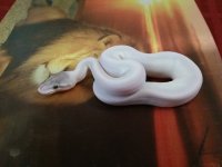 20140809_105403.jpg