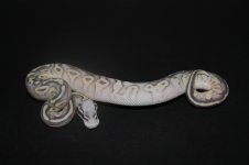 069.jpg