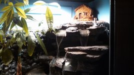 VIVARIUM 2.jpg VIVARIUM 2.jpg